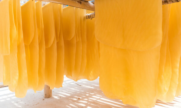 The farmer making rubber sheets hang on bamboo process dry by solar energy . A raw rubber latex flat to dry. Rubber sheet is a raw material for many industrial product.