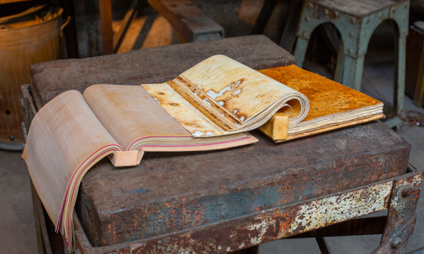 18 - M. TSCHIMBER_-3